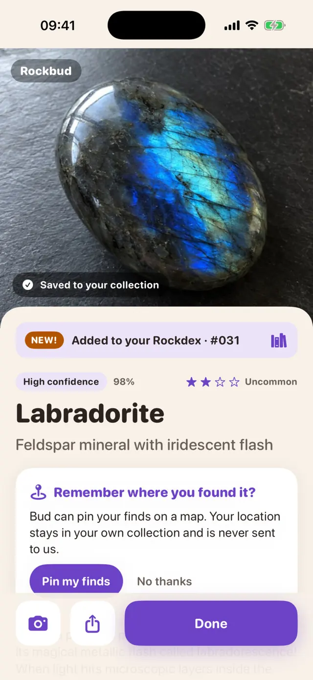 Rockbud app screen: A labradorite, identified with high confidence